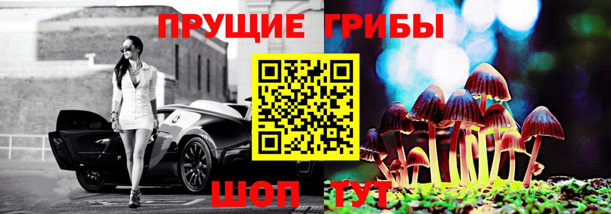 Псилоцибиновые грибы Psilocybine cubensis  Псилоцибиновые грибы ЛСД  Вход с VPN  Красногорск 